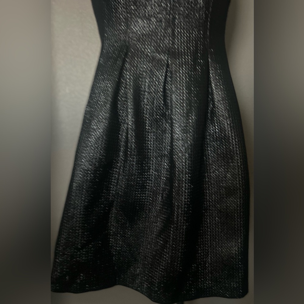 Elegant Silver and Black Sleeveless Dress - Picture 4 of 10